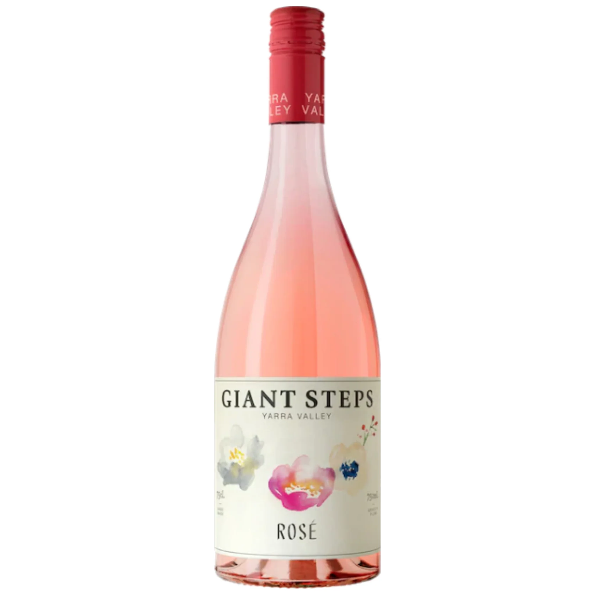 Giant Steps Rose