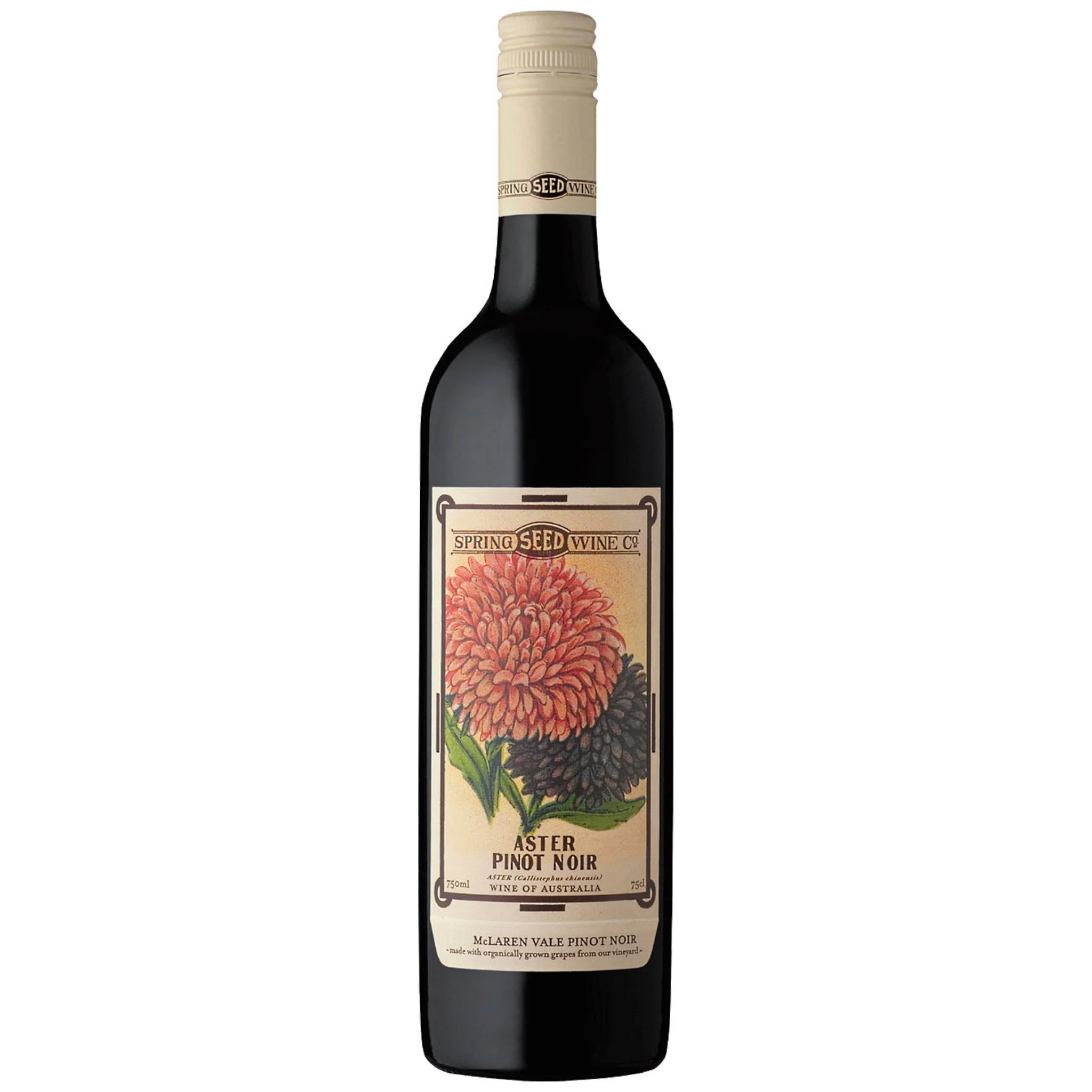 Spring Seed Aster Pinot Noir