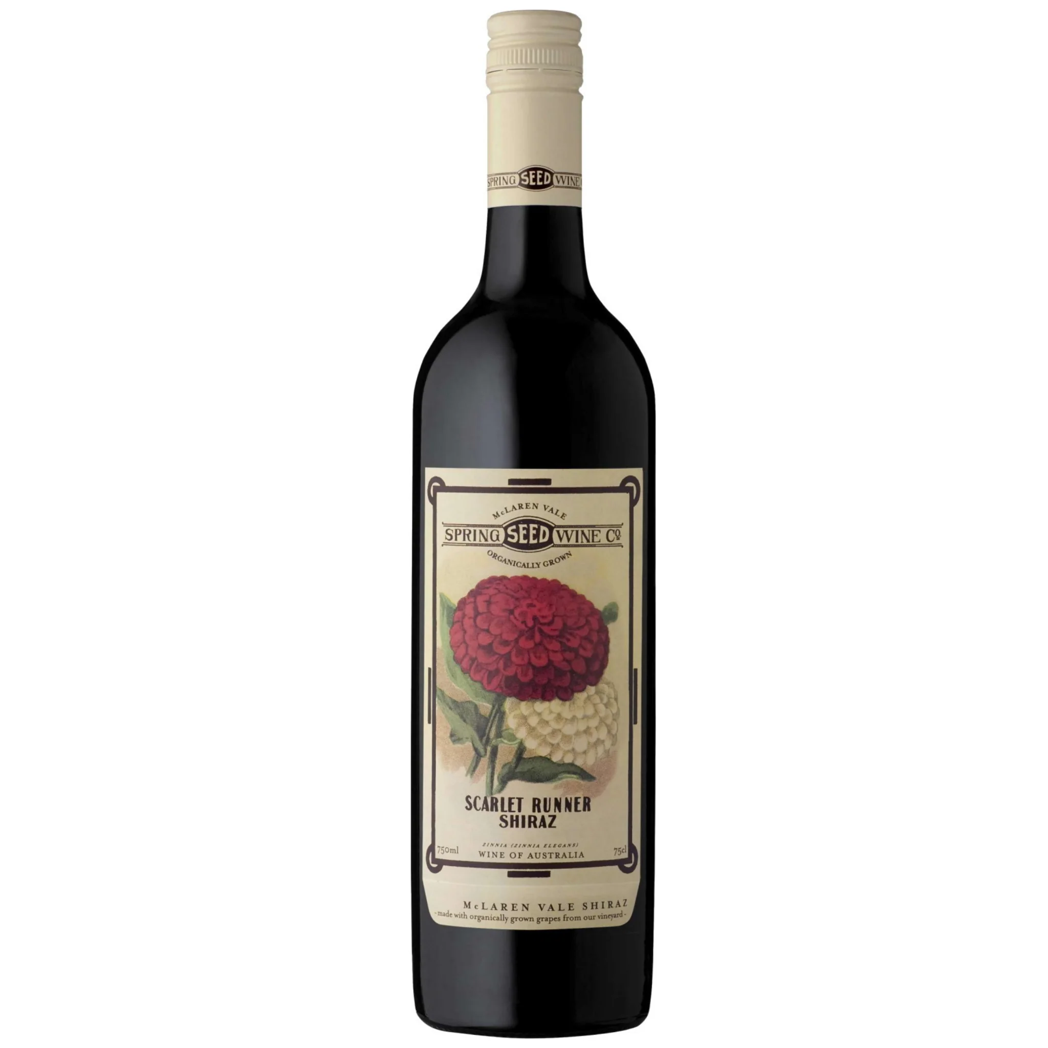 Spring Seed Scarlet Runner Shiraz