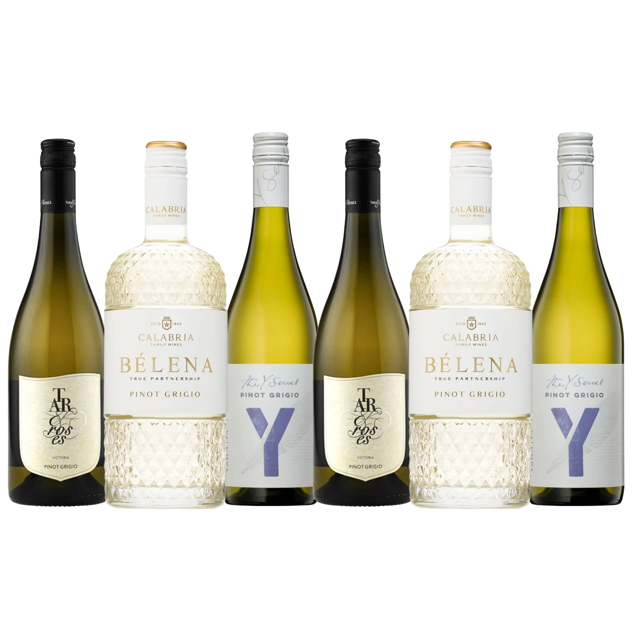 Sunshine Sips BUNDLE