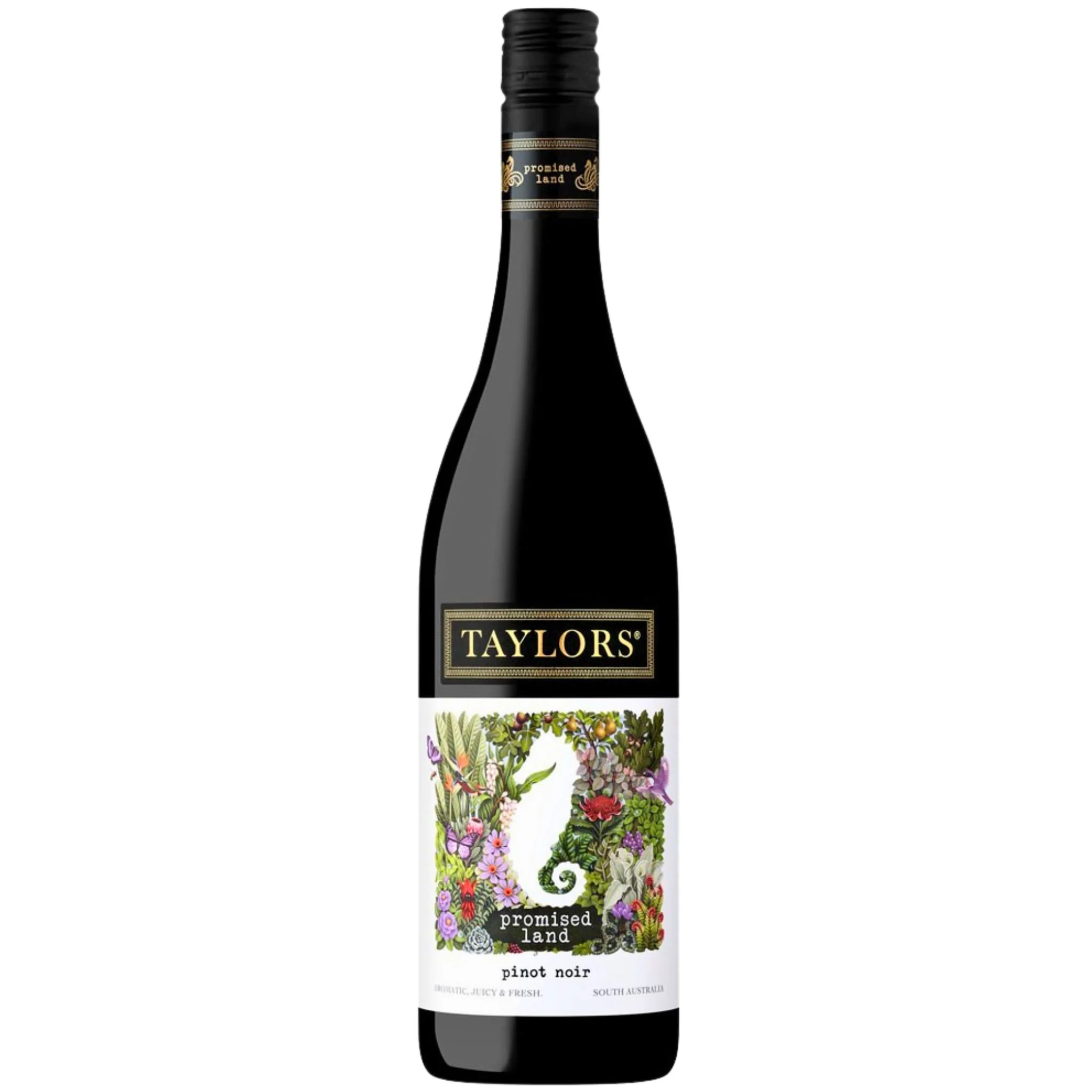 Taylors Promised Land Pinot Noir