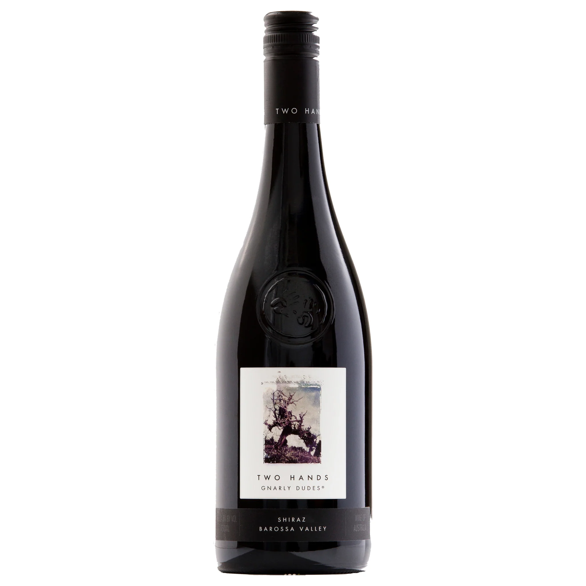 Two Hands Gnarly Dudes Shiraz
